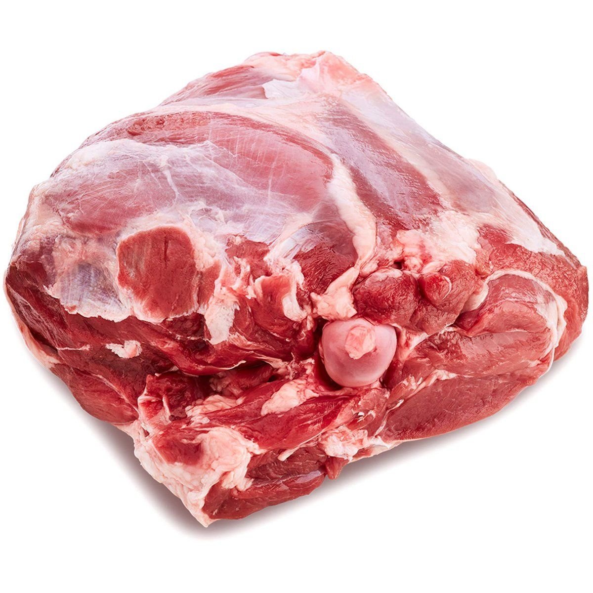 Lamb