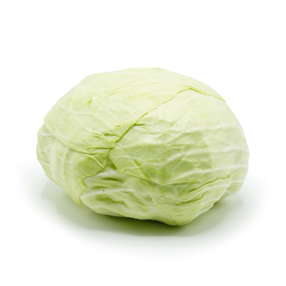 Cabbage