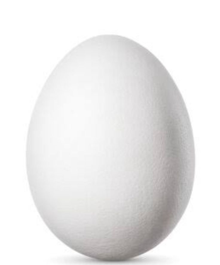 Duck Egg